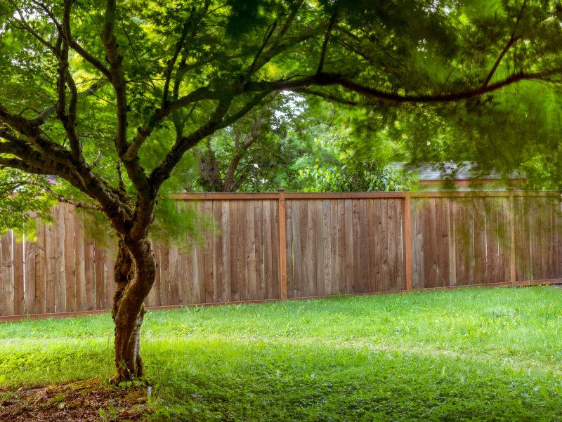 Backyard Wood Fence Service